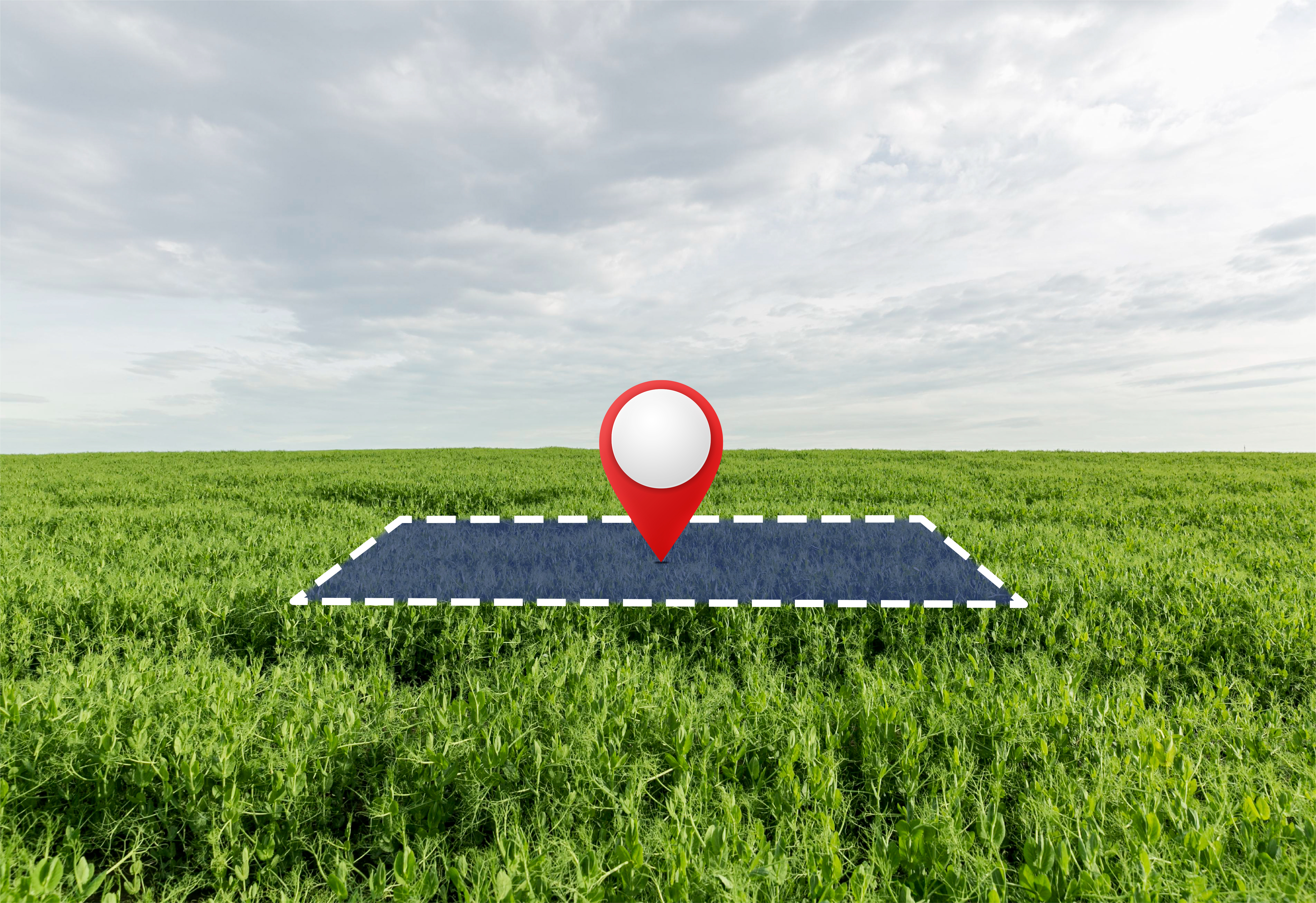 plotting and development in FCR Projects